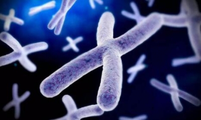 胚胎反复着床失败跟你的子宫内膜容受性有关系吗？