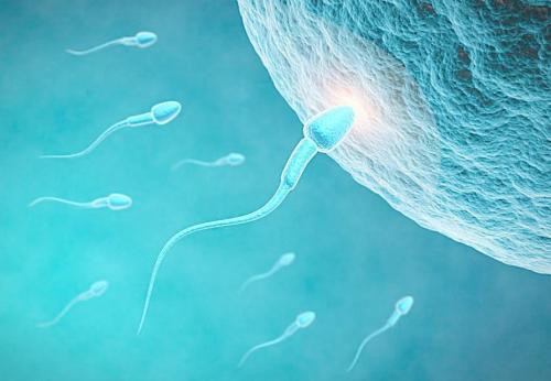 你所知道的泰国试管婴儿是真实的医疗水平吗？-泰好国际