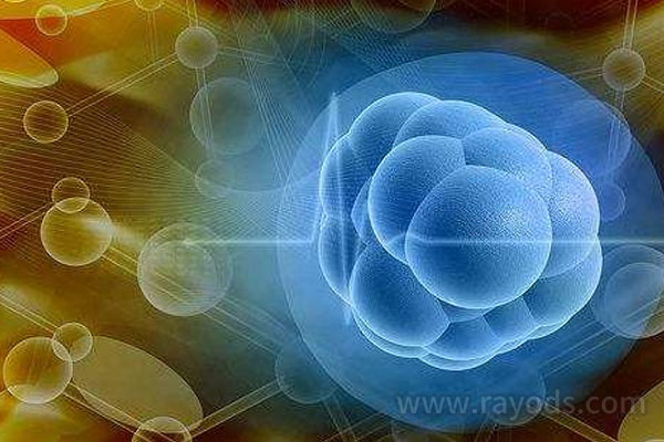 俄罗斯试管婴儿通过中介去做试管是合法的吗？