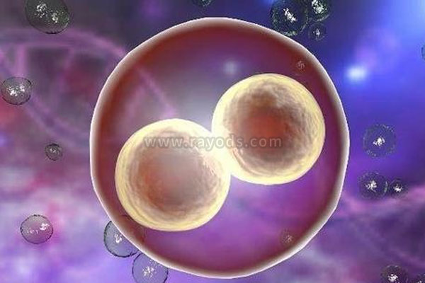 多囊做试管婴儿成功率高吗 如何提高试管婴儿成功率