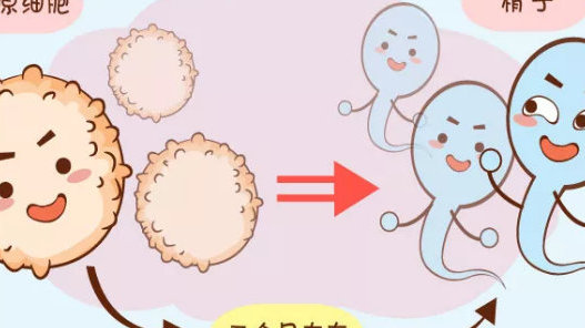 想生双胞胎，在汝州市可以做助孕试管婴儿怀孕吗？