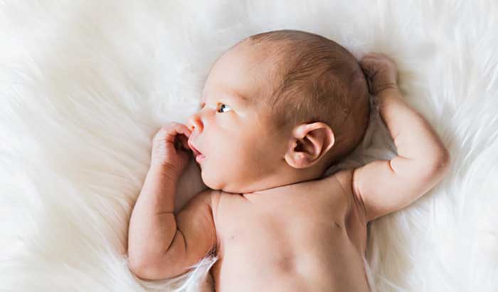 除了盛京、菁华和204，沈阳还有几家做试管婴儿的医院？