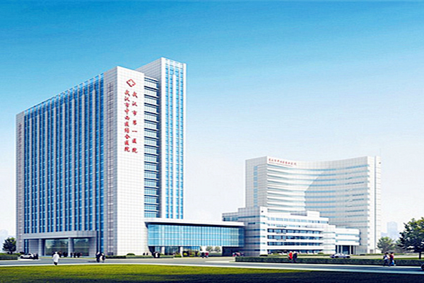 武汉市中西医结合医院 