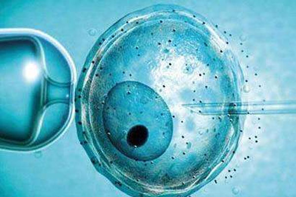 唐山姐妹分享：如何降低柬埔寨试管婴儿的费用？