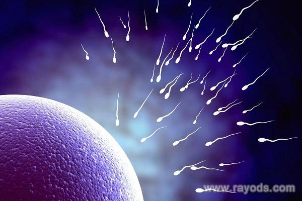 精子abcd活力正常参考值各是多少？