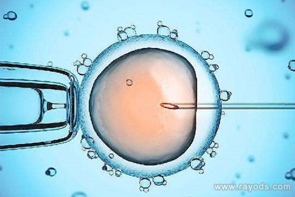 单身到柬埔寨皇家生殖医院做供精试管婴儿能成功吗?