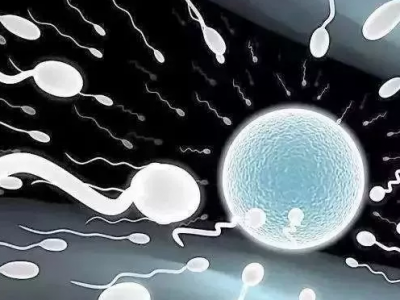 提前进行这几项测试 快速提高深圳试管婴儿的成功率