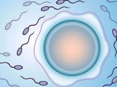 关于备孕记住这几个误区 千万不要再逾越了