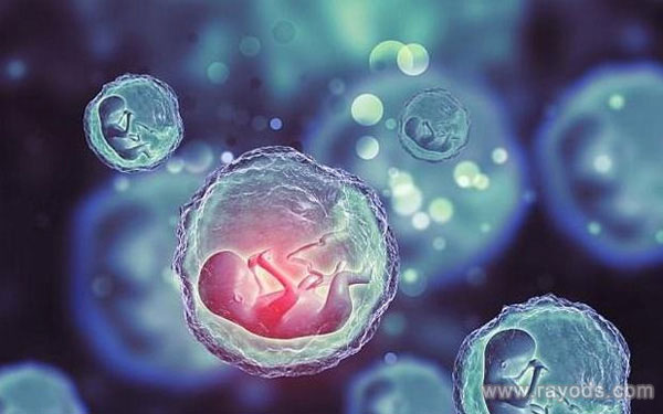 柬埔寨FCC诊所的试管婴儿费用大概是多少？