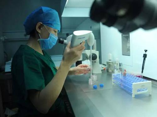 泰国试管婴儿周期中对多余的胚胎是如何处理的？