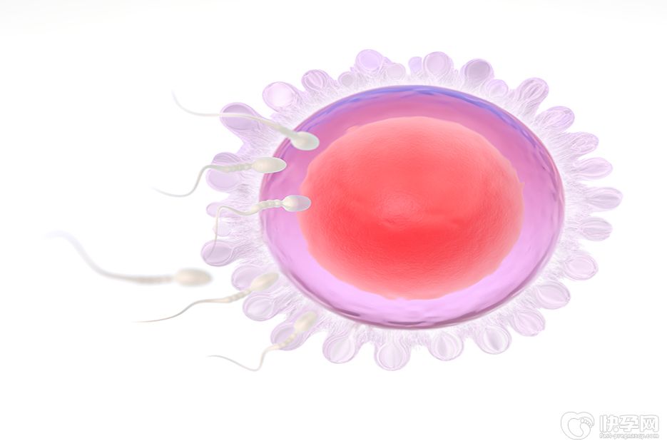 南昌最好的试管供卵医院排名一览，附成功率及卵源等待时间
