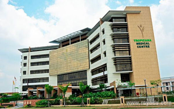 马来西亚丽阳医院试管成功案例到底多不多？