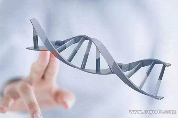 去马来西亚做试管，需要准备哪些资料呢?