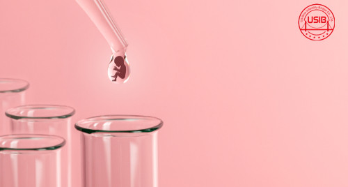 美中桥告诉您：胎停育多久可以做试管婴儿