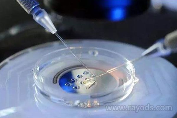 美国试管婴儿成功率高吗？会百分百成功吗？