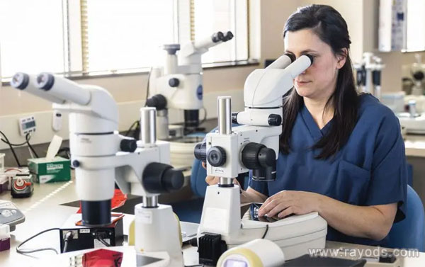 美国CCRM辅助生殖中心做试管的费用是多少？