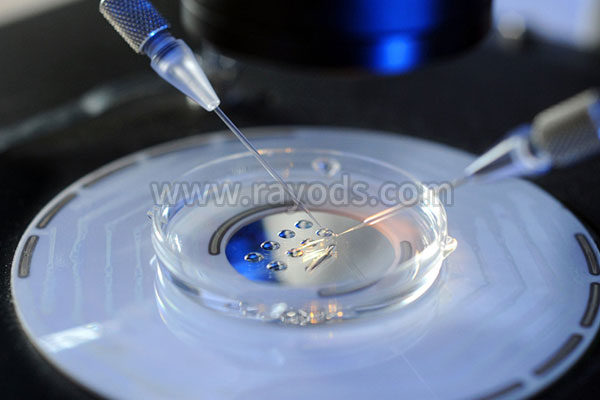 试管婴儿究竟会对女性身体造成哪些影响危害？