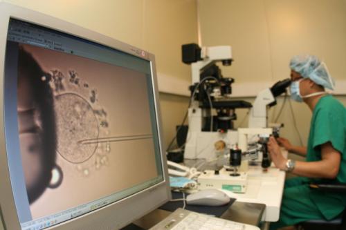 人工授精的方法