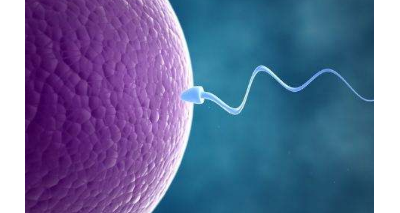 李冰冰坦言或会冷冻卵子 你知道吗冷冻卵子有四道槛儿