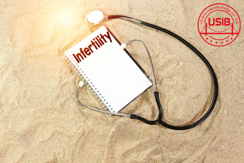 美国试管婴儿费用贵吗？快来看一下