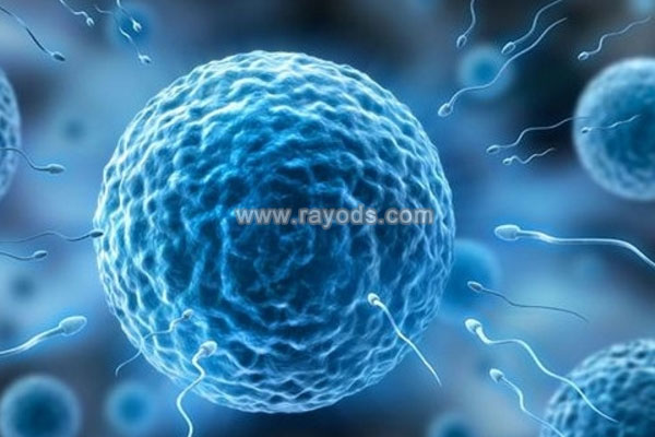 选择美国试管婴儿助孕，做好赴美前的各项准备很关键