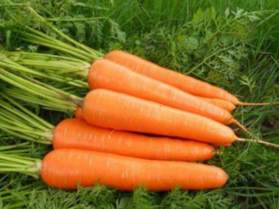 七种让你降低生育力的食物 备孕夫妻千万要远离