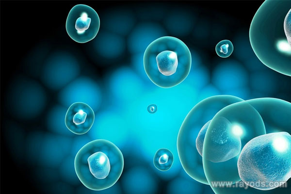 高龄女性赴美国做试管婴儿需要什么手续？