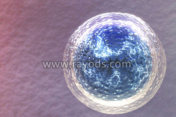 试管婴儿成功率的主要因素