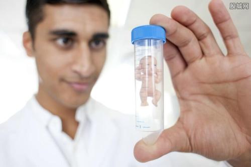 人工授精与试管婴儿的区别 现代人谁动了你的孩子