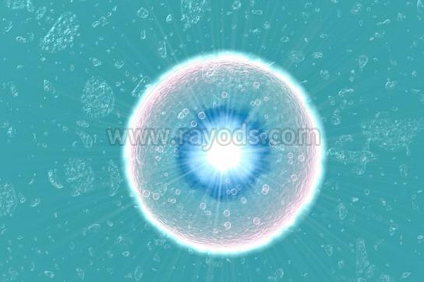 做试管婴儿能避免兔唇遗传吗