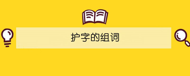 护字的组词还有什么