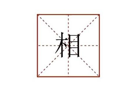 相组词有哪些？相能组什么词语?