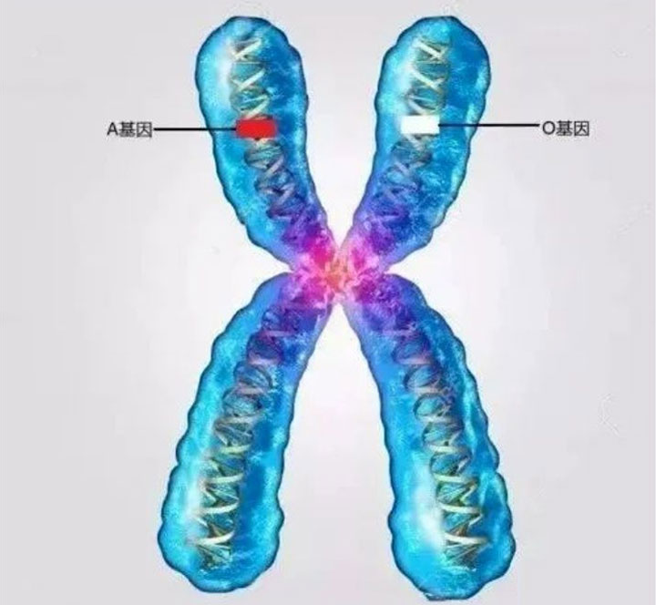 爸爸B型血，妈妈O型血，孩子是A型血怎么办？