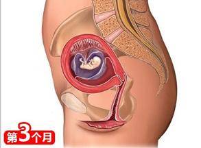 怀孕前三个月可以喝可乐吗？喝可乐对我们肚子的宝宝有哪些危害？