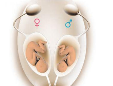 私人定制完美健康宝宝？第三代试管技术你了解吗？