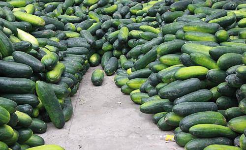 孕妇可以吃冬瓜吗？吃冬瓜对孕妇有什么好处？