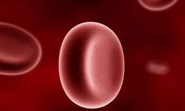 孕期妇女应该如何补铁，赶紧看一看