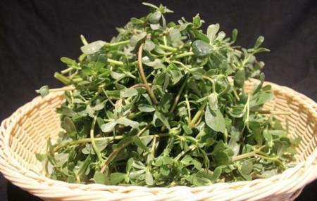 孕妇有很多东西不可以吃，而这种食物常会误食容易引起流产