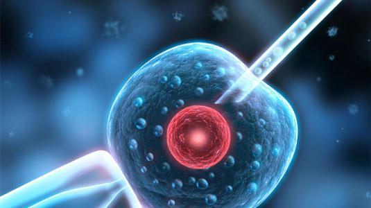 南京试管婴儿之不孕不育话题