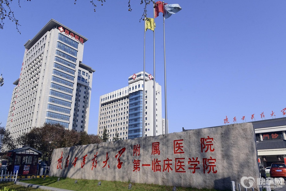 陕西中医药大学附属医院