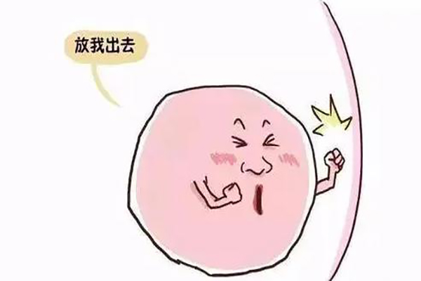 什么是排卵障碍，这里全部都讲明白说清楚了