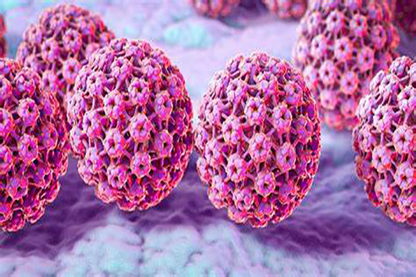 一文解读什么是HPV,它与宫颈癌之间有什么关系