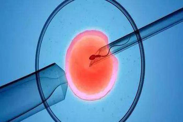 女人做了试管人就废了？深度解析试管婴儿对女性的五大伤害！