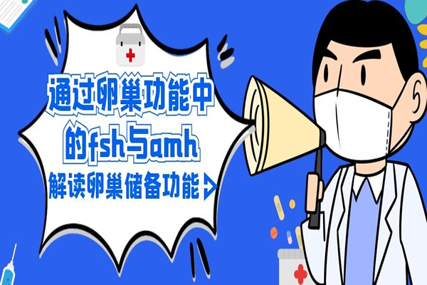 通过卵巢功能中的fsh与amh解读卵巢储备功能