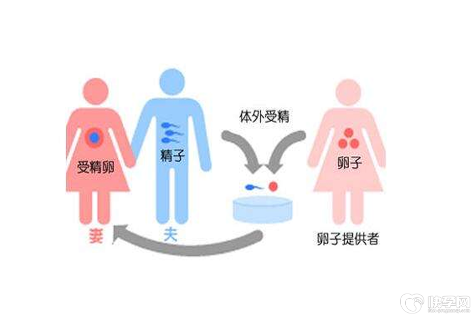 46岁高龄子宫内膜0.1cm可以供卵生子吗-不把内膜调理好怎么怀孕