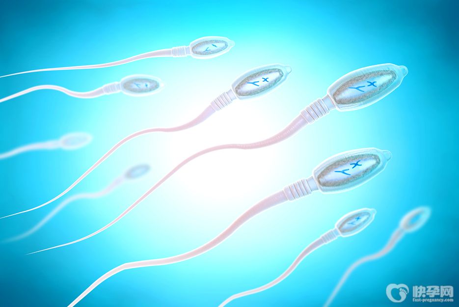 头部畸形精子百分率97还有生育能力吗？专家解读畸形精子症能生育吗