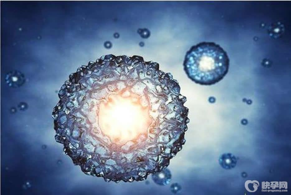 云南做供卵试管婴儿的医院有吗?实际情况你意想不到