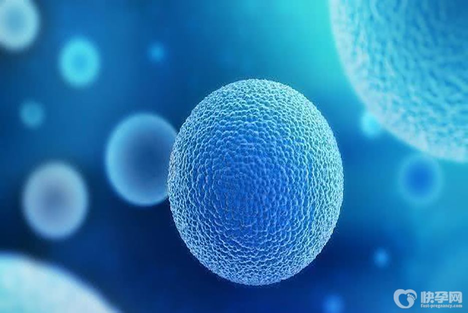 基础卵泡少适合什么方案？微刺激方案是首选