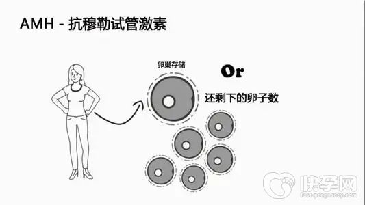 amh1.2能促排几个卵子，还能自然生育吗？看完你会回来感谢我！