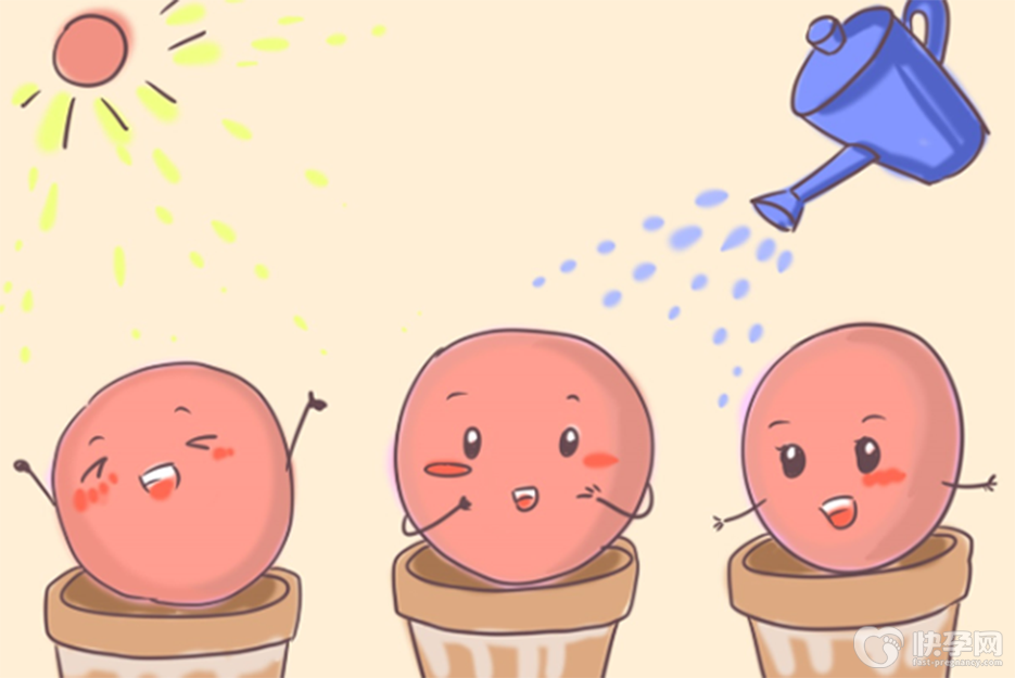 试管中基础卵泡三个会取多少个卵子-一般能取3个